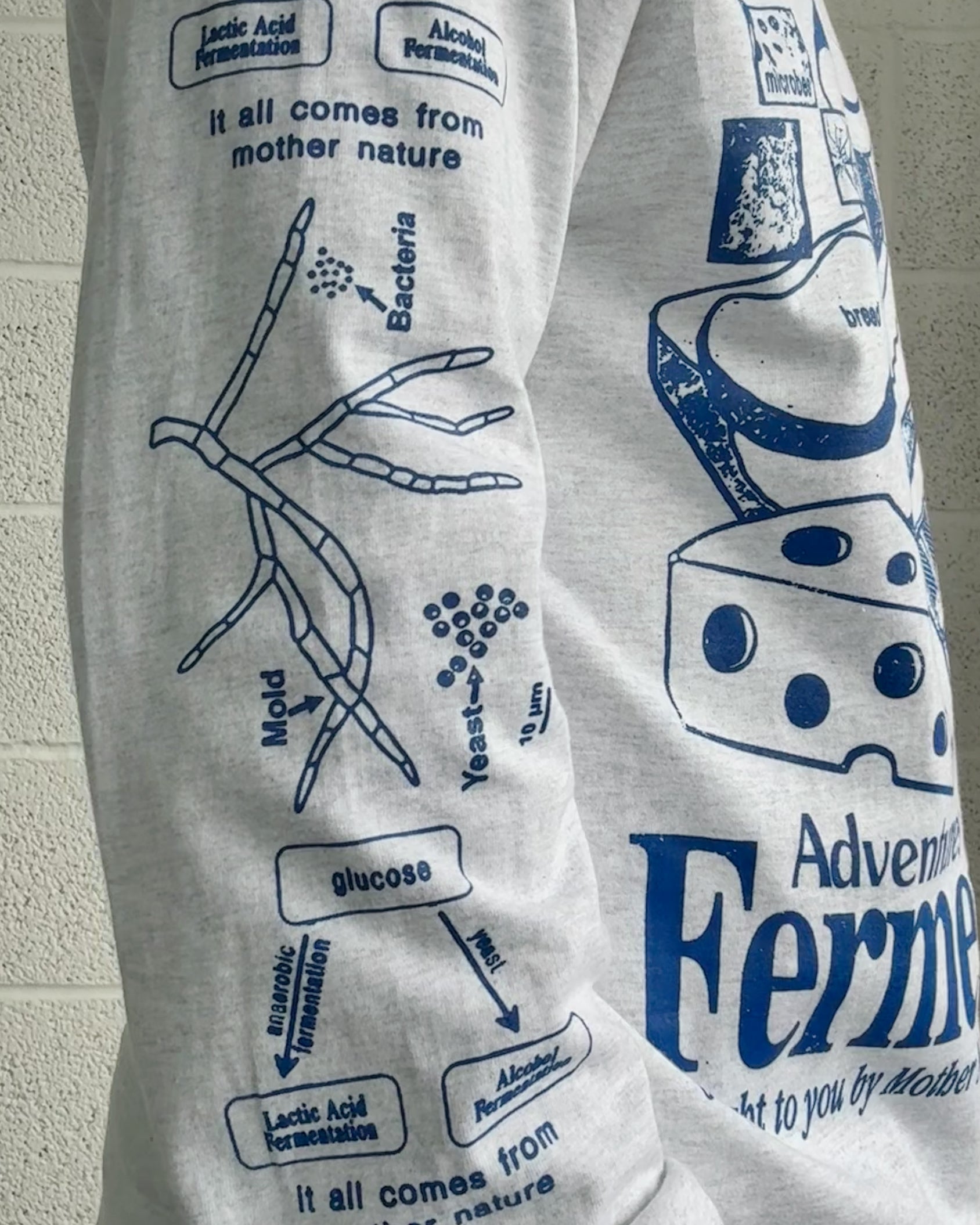 Fermentation Longsleeve - Ash Grey
