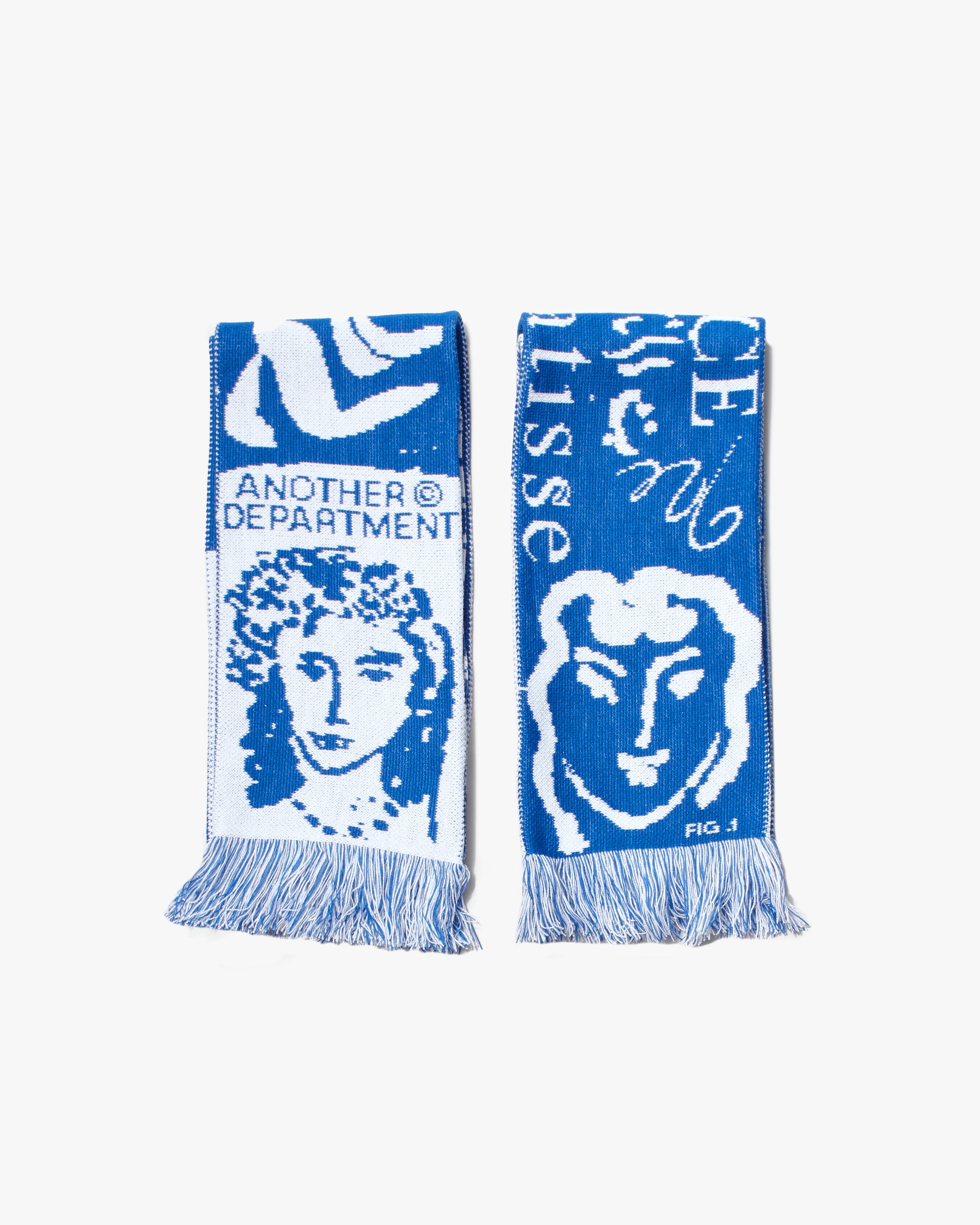 Matisse Scarf - Blue/White