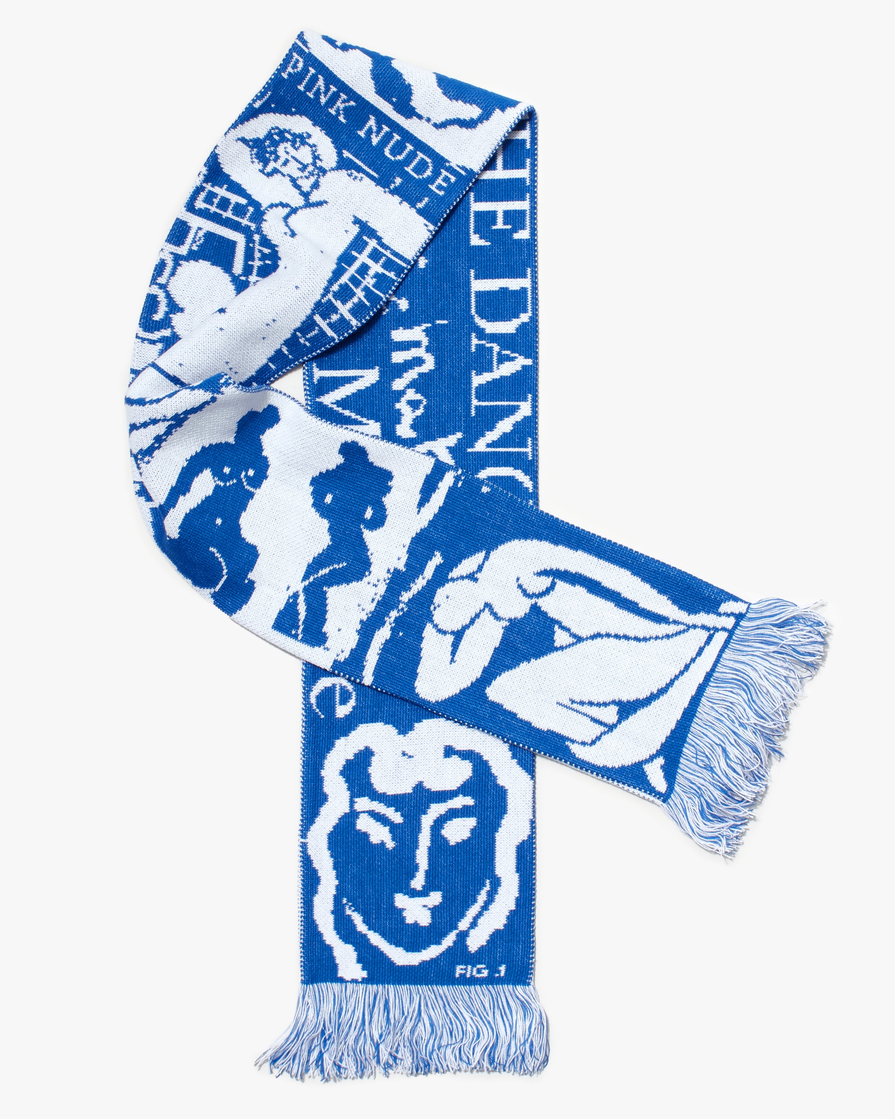 Matisse Scarf - Blue/White