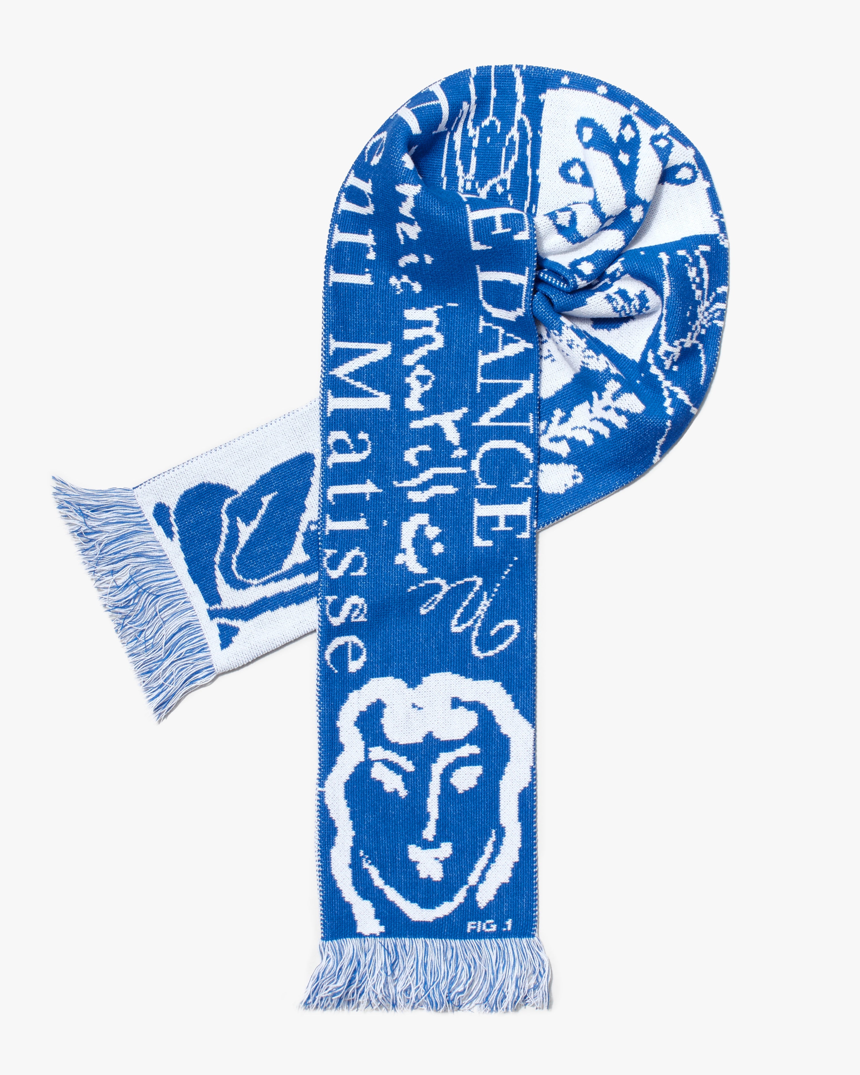 Matisse Scarf - Blue/White
