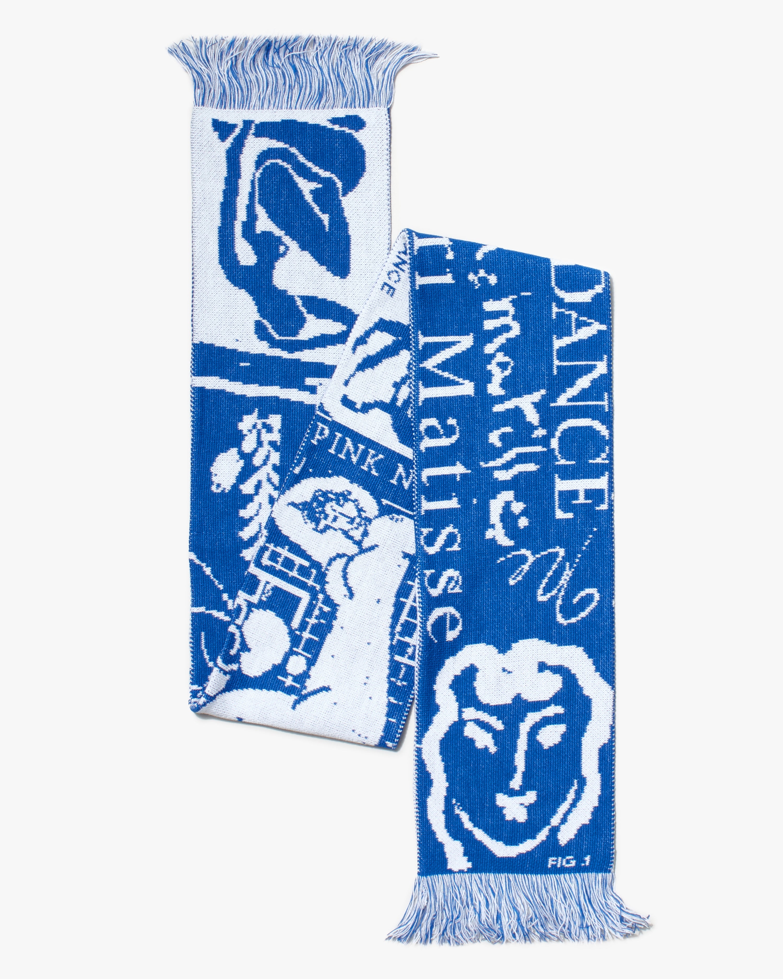 Matisse Scarf - Blue/White